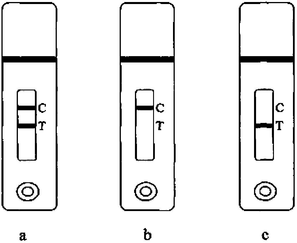 Colloidal gold test strip for detecting residue of sulfonamides, usage method and application thereof