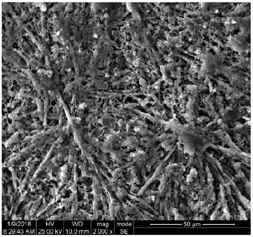 Stripping agent for pickling undrawn wire as well as preparation and using methods of stripping agent