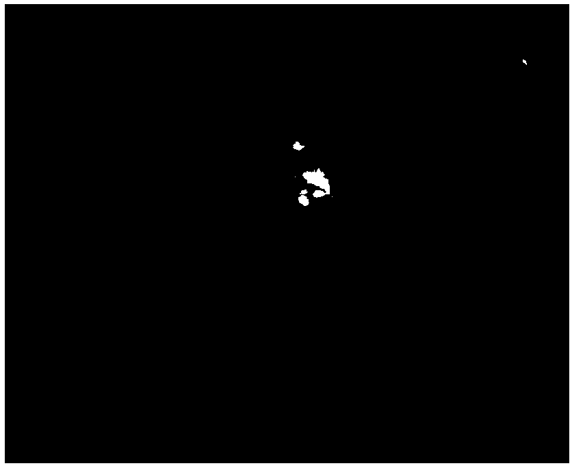 Food therapy composition with gout treatment function and preparation method of composition