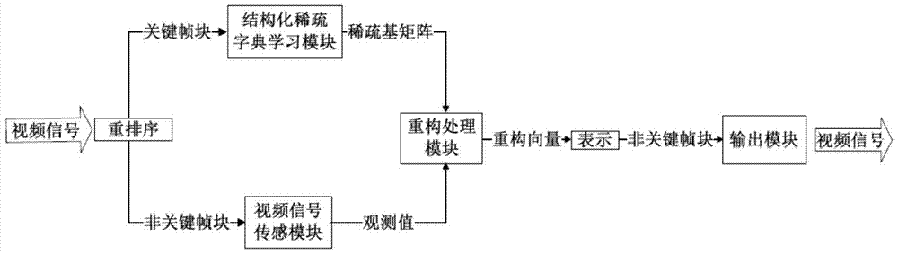 Compressed Video Acquisition and Reconstruction System Based on Structured Sparse Dictionary Learning