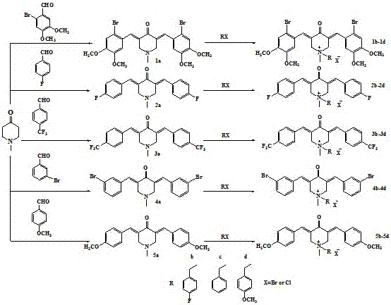 N-methyl-3,5-diaryl methylene-4-piperidone and its quaternary ammonium salt derivatives for antitumor