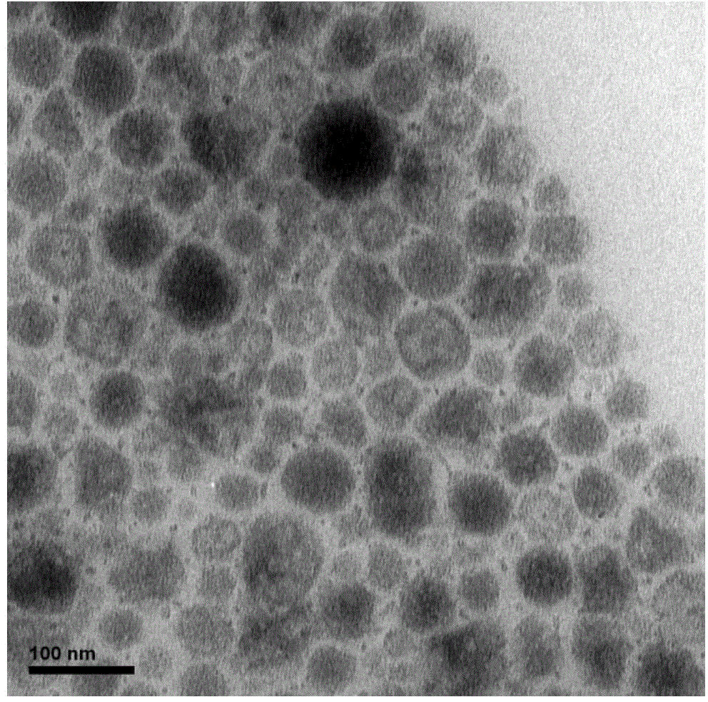 Method for preparing aggregation-induced emission type polymer fluorescent nanoparticle through mini-emulsion polymerization initiated by water-soluble initiator