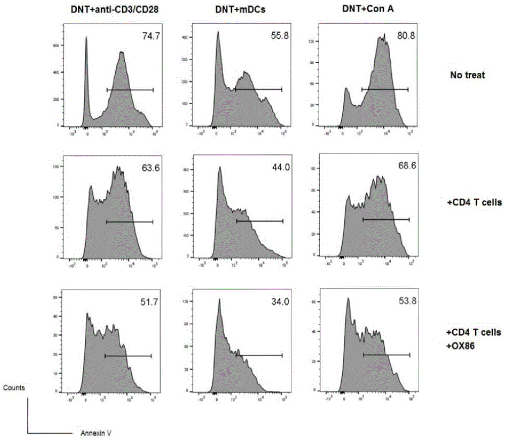 DN T cell transformation and multiplication method