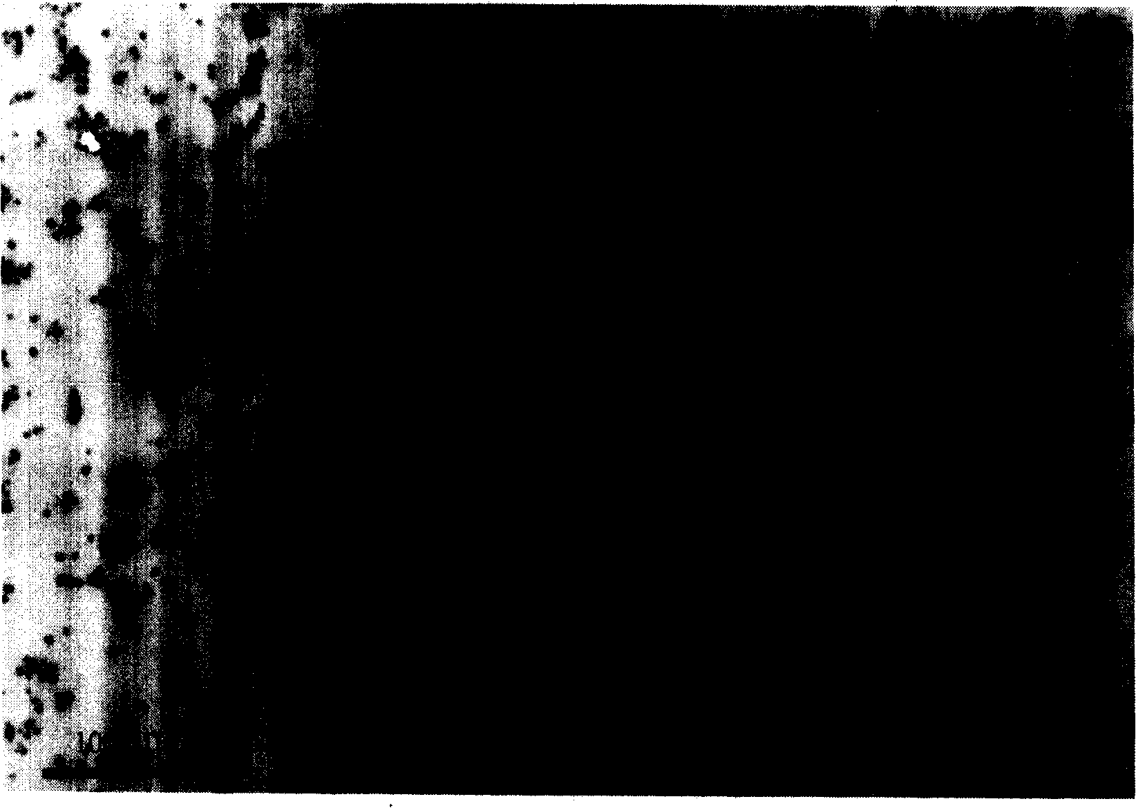 Method for preparing fluorescing gold nano particles