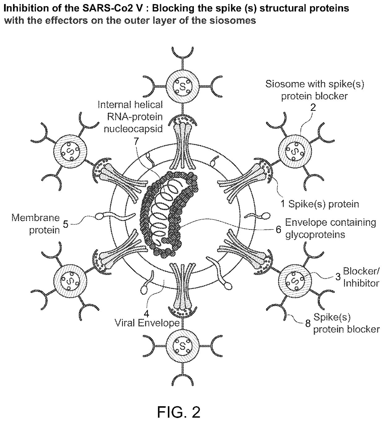 Organosilicon carriers for use in treating infections and/or diseases caused by SARS viruses