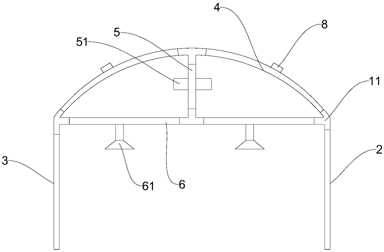 Interplanting method of tomatoes and pakchoi