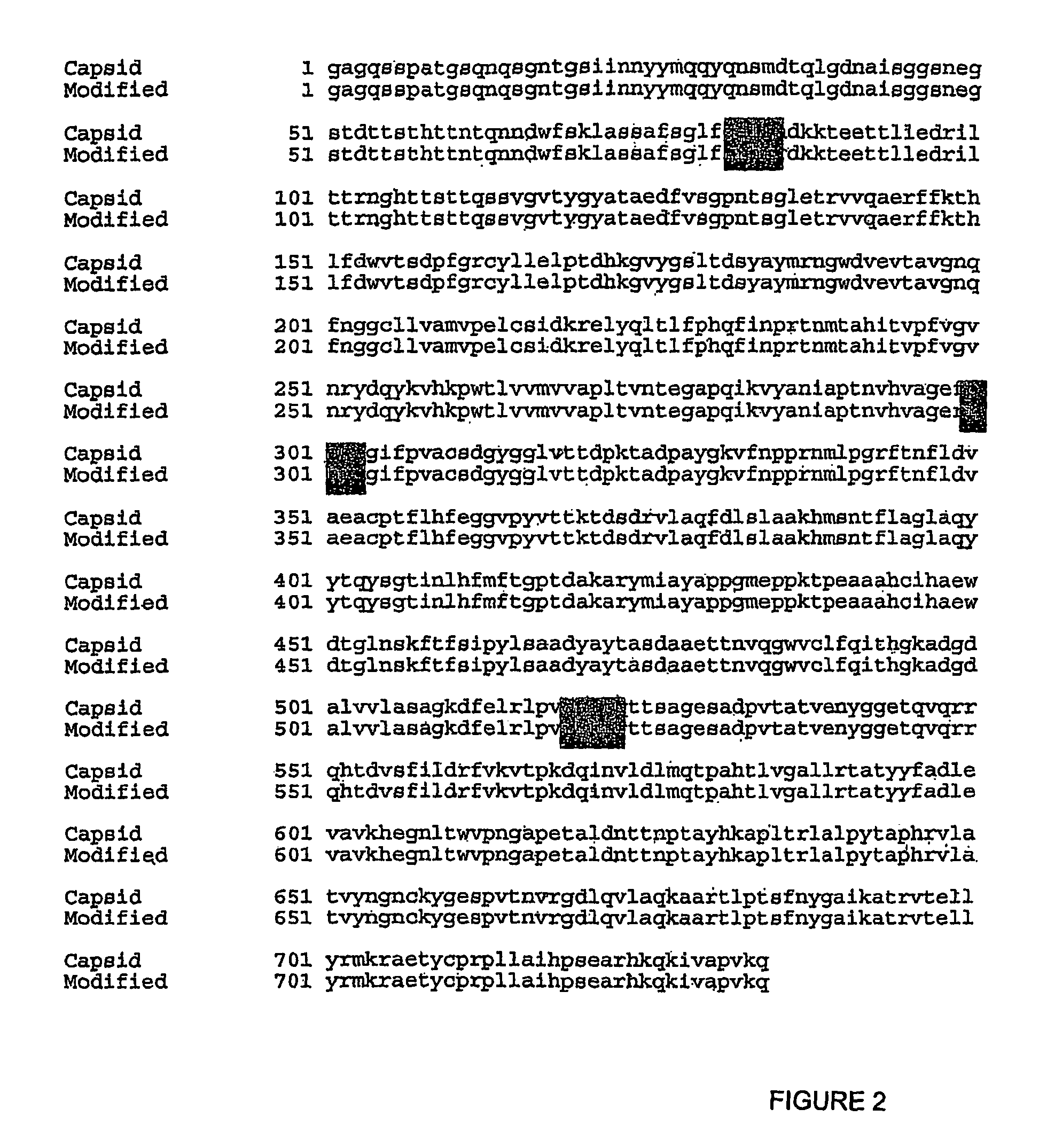 Recombinant foot and mouth disease vaccine