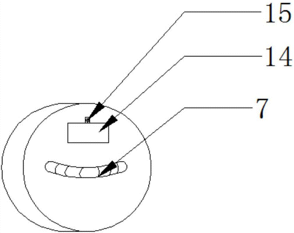 Physical fitness testing system for physical education