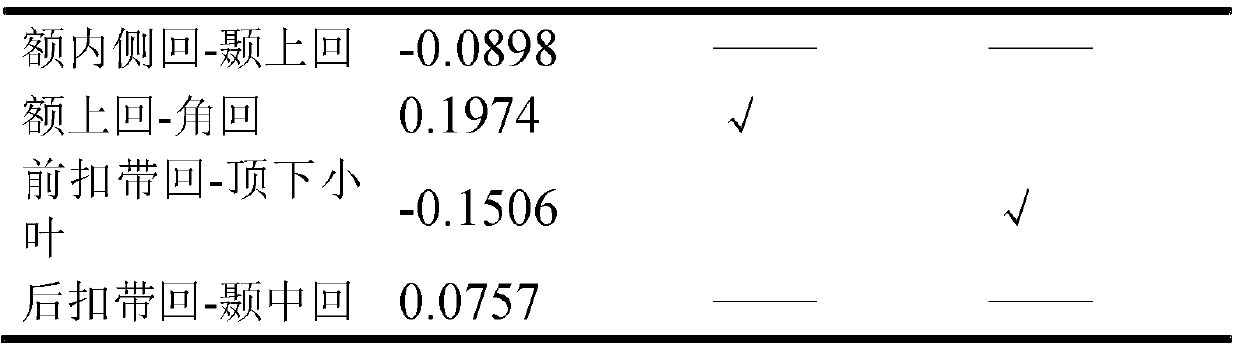 Method for detecting brain network function connectivity lateralization based on modality fusion