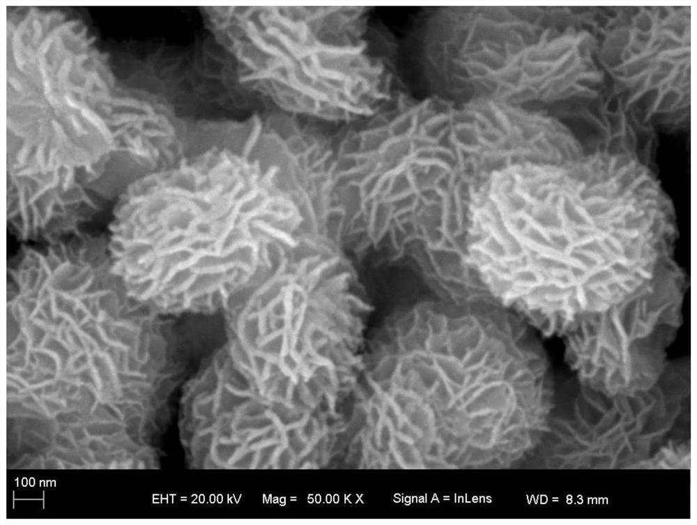 A kind of preparation method of tantalum doped bismuth oxychloride powder