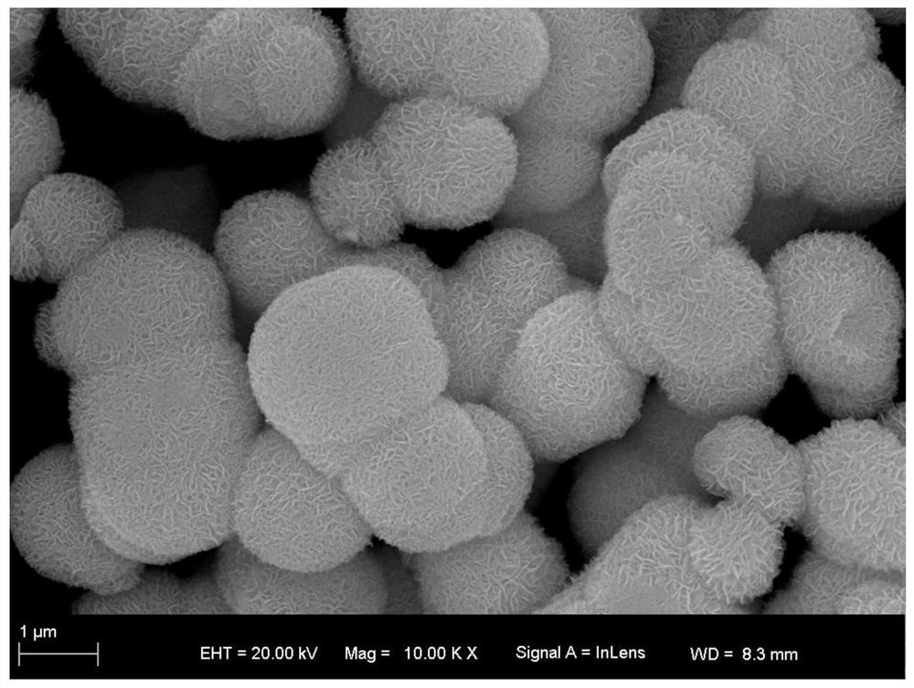 A kind of preparation method of tantalum doped bismuth oxychloride powder