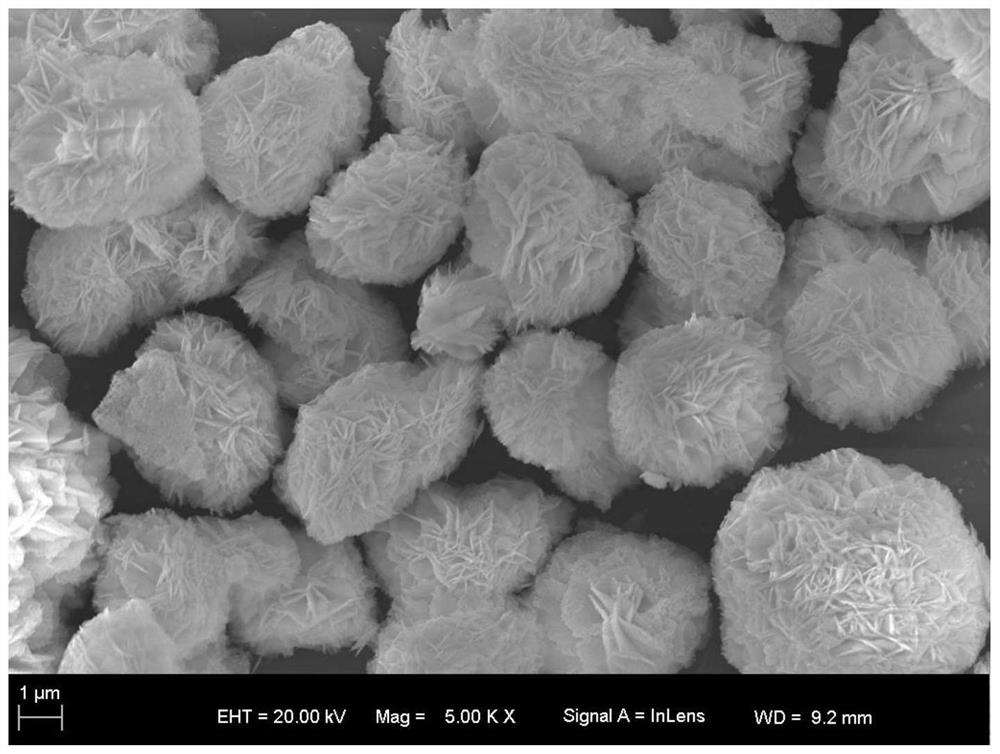 A kind of preparation method of tantalum doped bismuth oxychloride powder