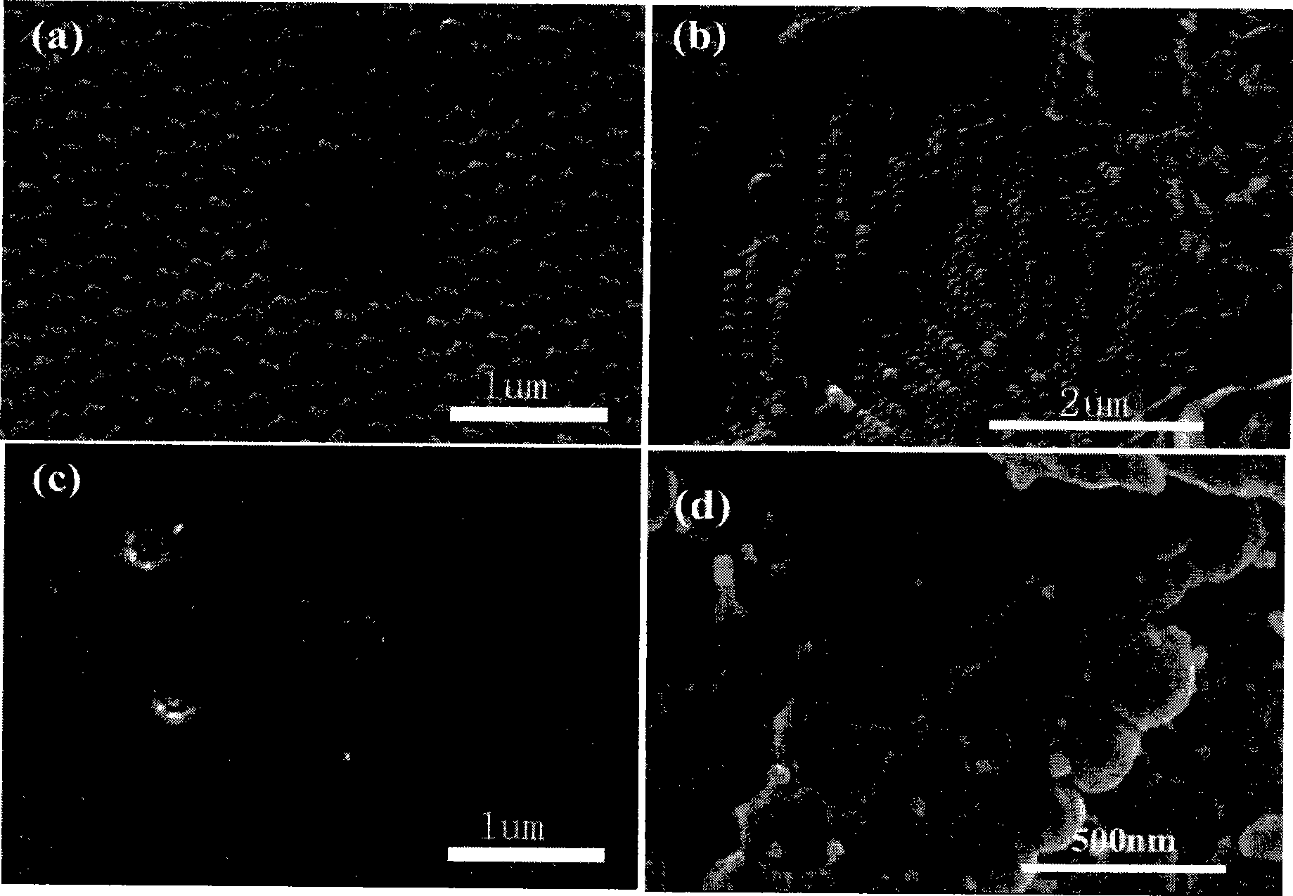 Method for producing photon crystal film for improving mechanical strength and solvent resistance