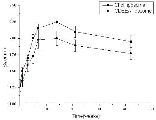 5-hydroxyl tolterodine gel preparation and preparation method thereof