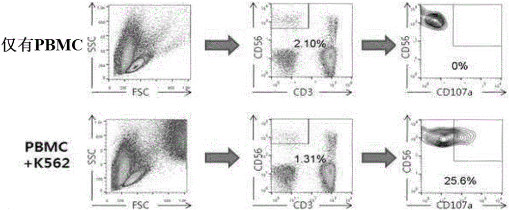 Composition for enhancing immunity including ginsenoside f1 as active ingredient