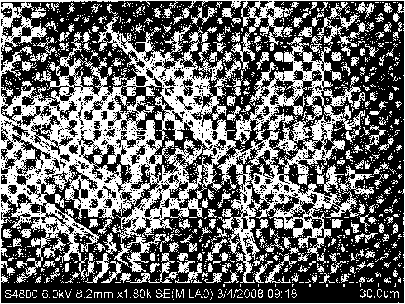 Method for preparing ZnO nanowire suspended back gate field-effect transistor