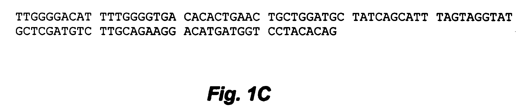 Methods and use of motoneuronotrophic factor