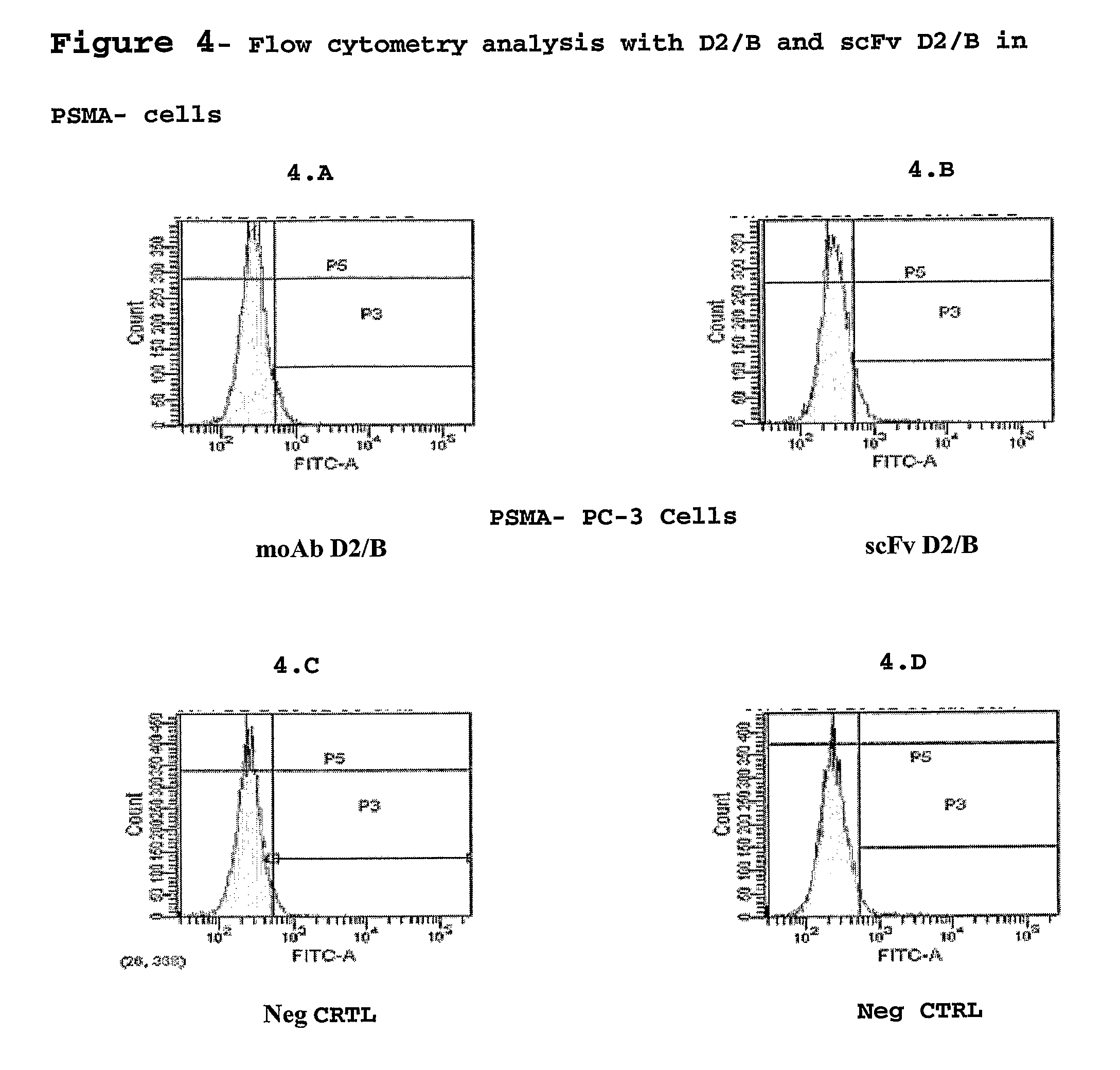 Isolated monoclonal antibody or fragment thereof binding prostate specific membrane antigen, conjugates and uses thereof