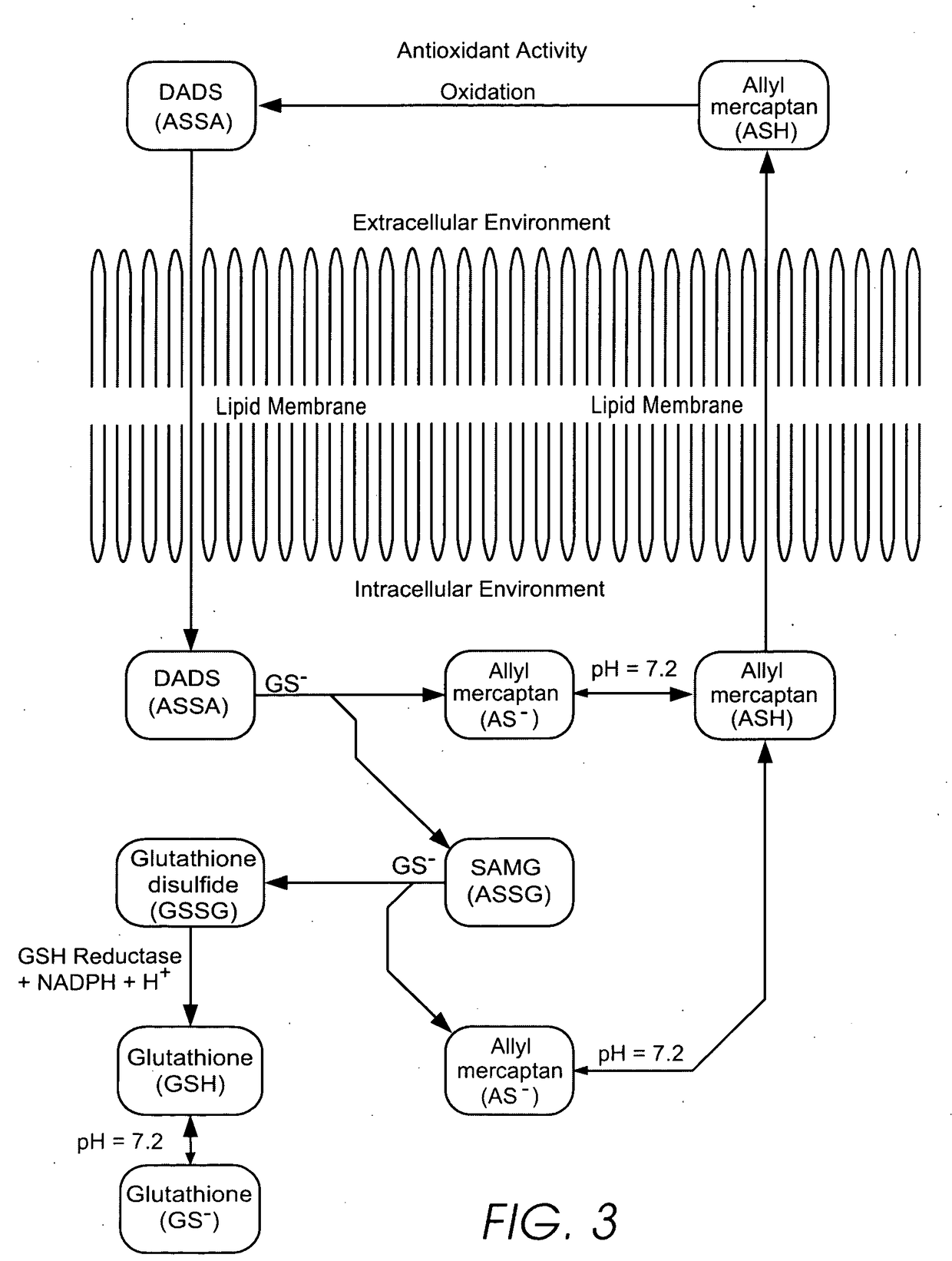 Personal care and medicinal products incorporating organosulfur groups