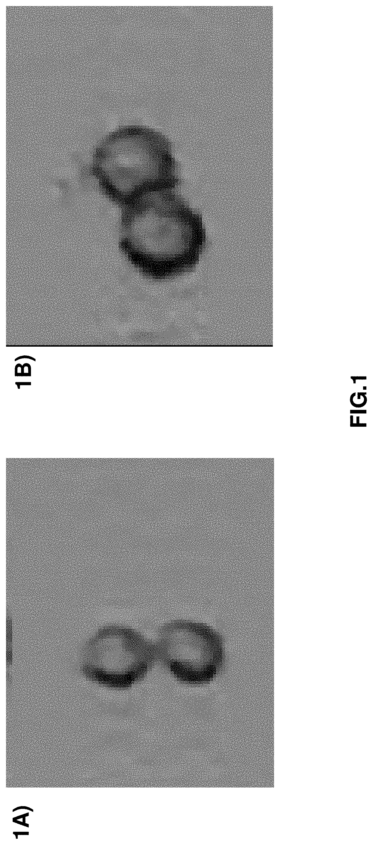 Parameters for use in particle discrimination