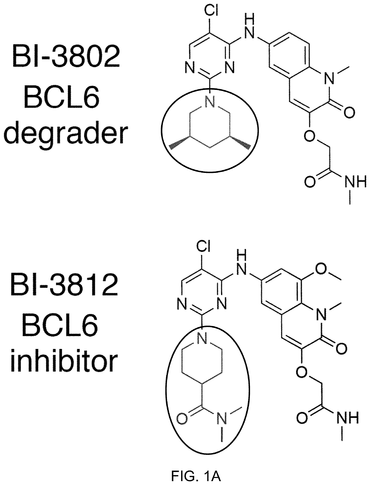 Chemically inducible polypeptide polymerization