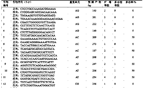 Li SSR marker primer pair developed based on transcriptome sequence and its application