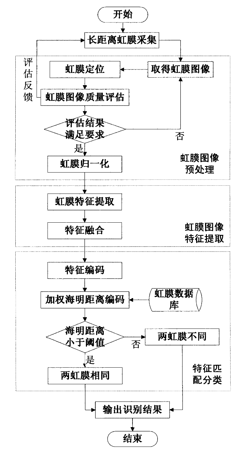 Iris identification method based on odd-symmetric 2D Log-Gabor filter