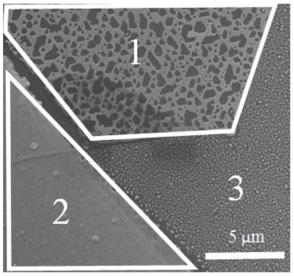 A method for optically degenerate doping of transition metal chalcogenides and its application