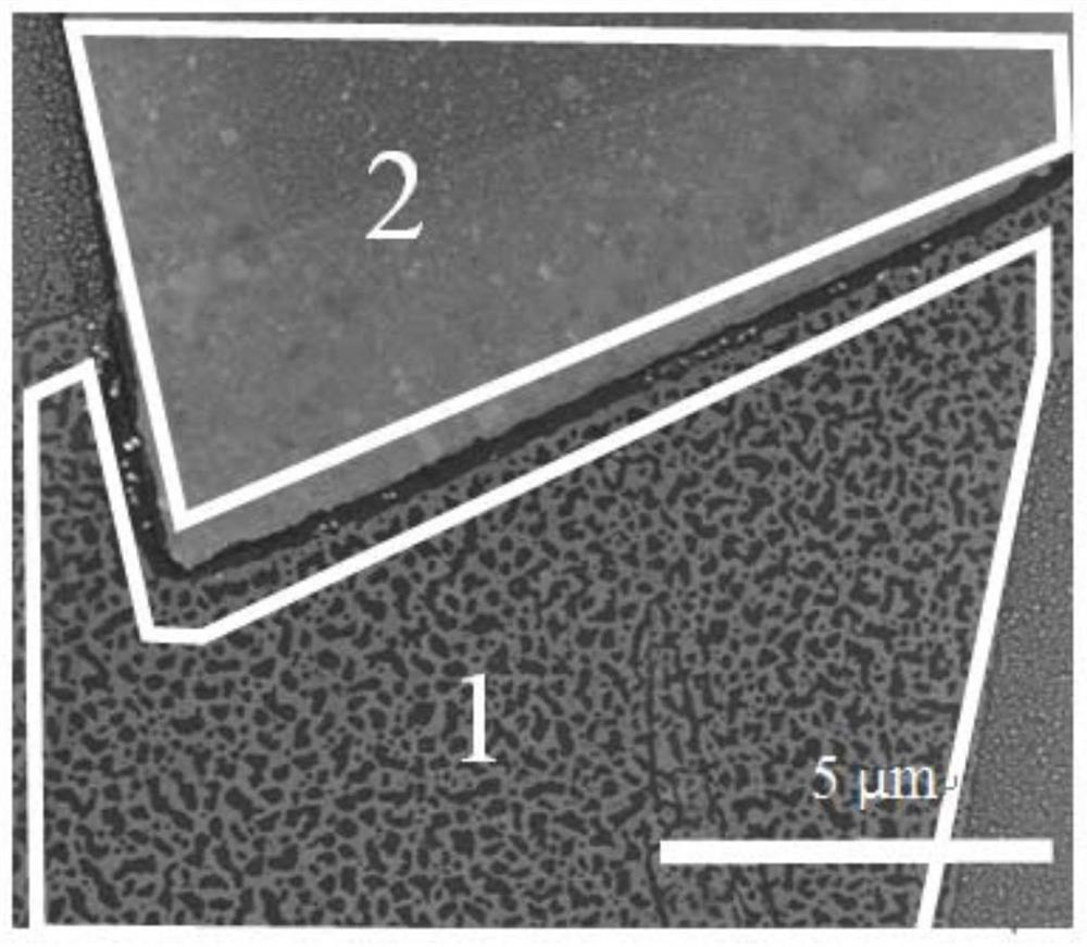 A method for optically degenerate doping of transition metal chalcogenides and its application