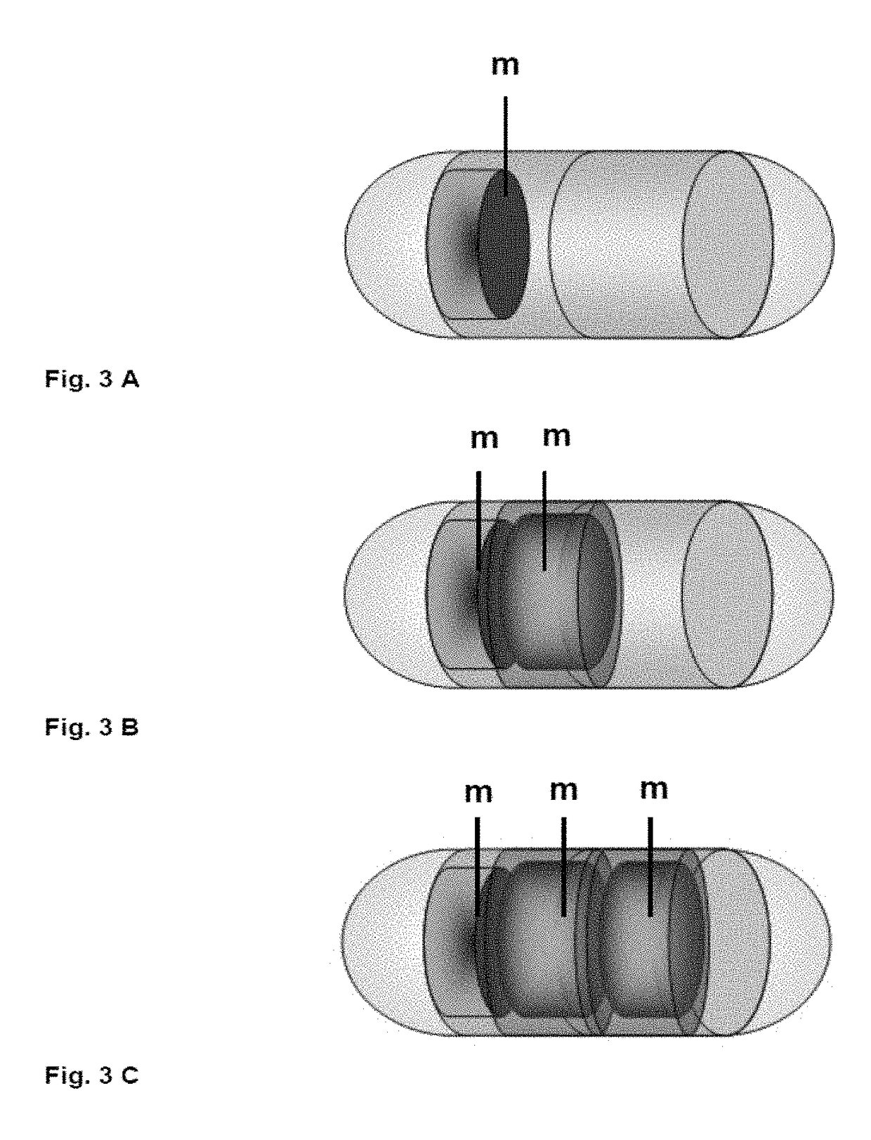 Personalized detection system for detecting magnetic objects in the human organism