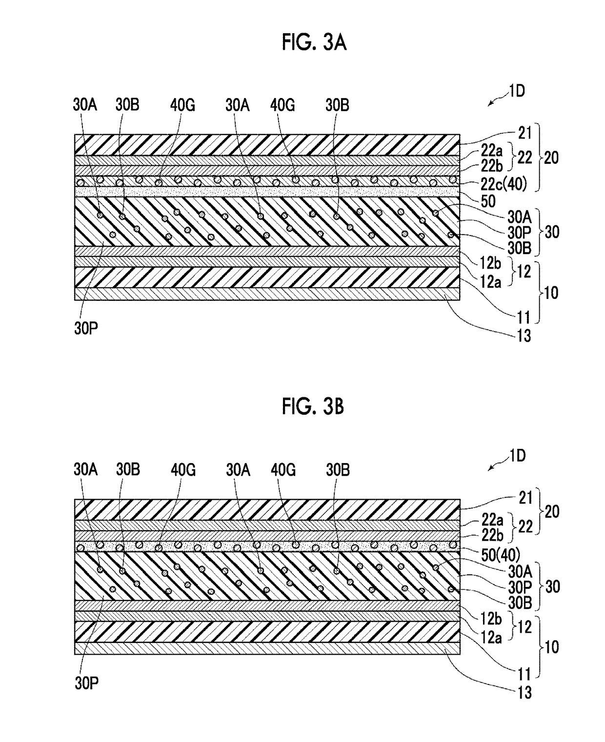 Wavelength conversion member, backlight unit including wavelength conversion member, and liquid crystal display device