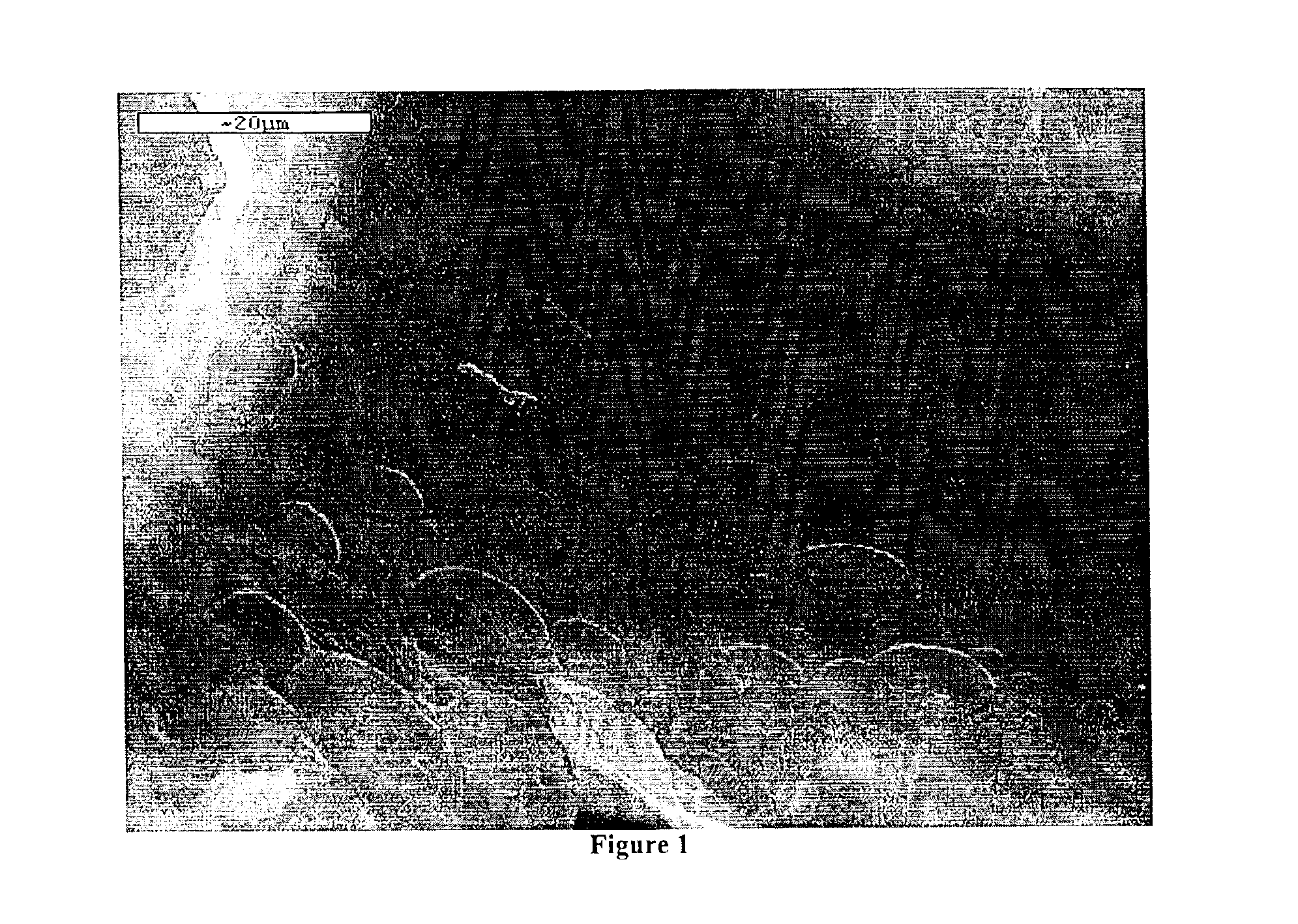 Process for making a flexible polyurethane foam