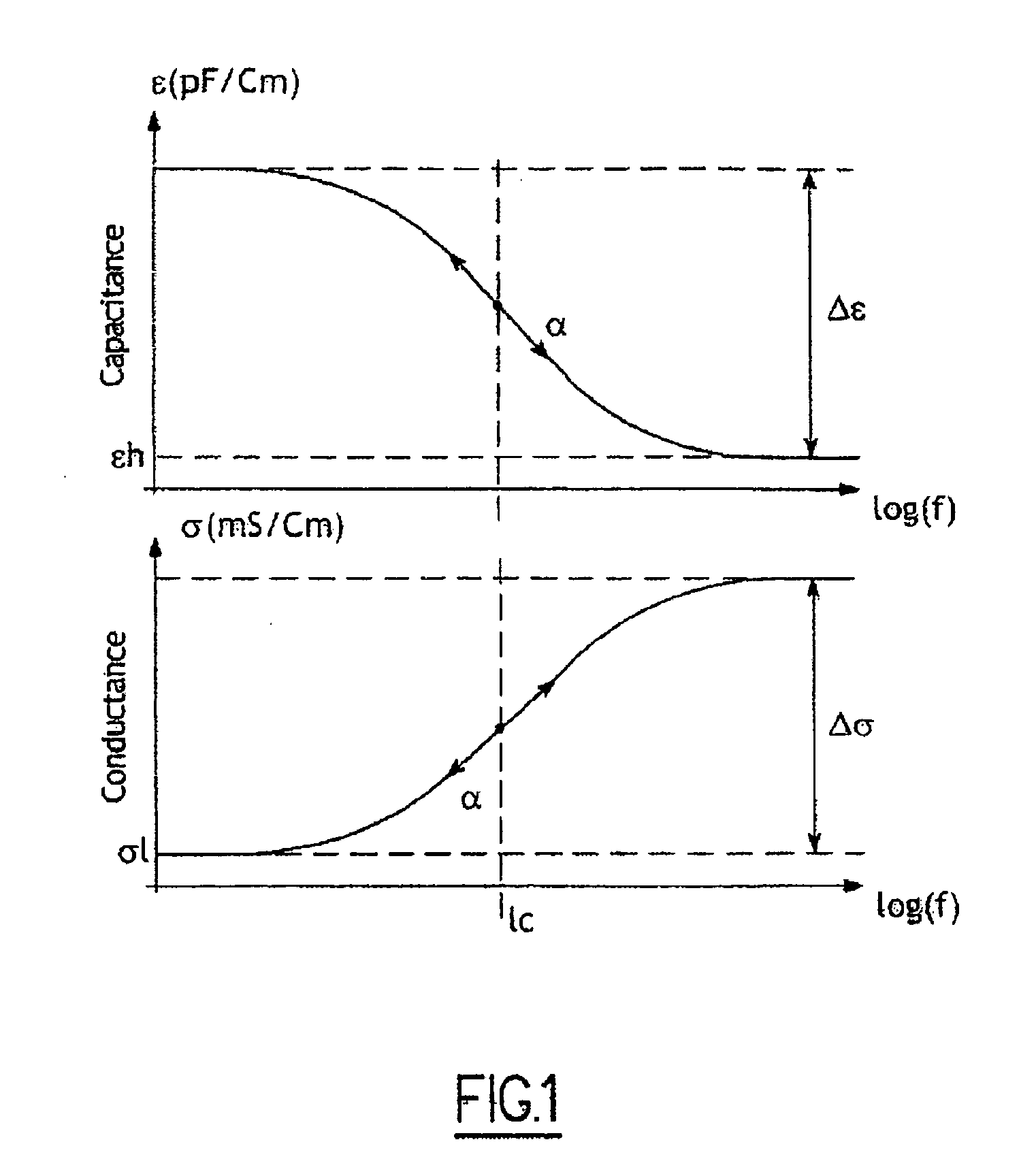 Process and system for on-line and in situ counting of cells in a biological culture medium