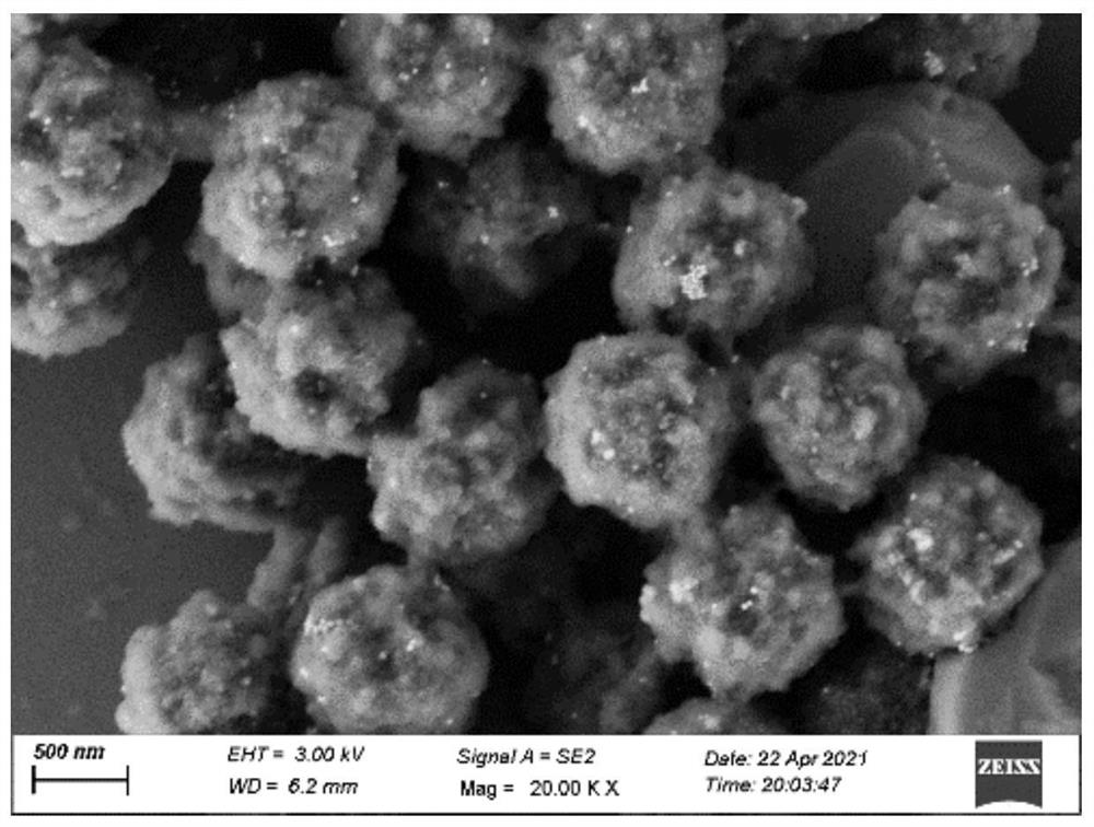 Detection method of new coronavirus SARS-CoV-2 antigen