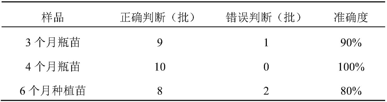 Method for identifying Aoectochilus formosanus cultivated in different cultivation manners