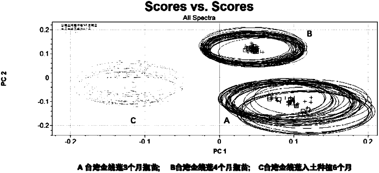 Method for identifying Aoectochilus formosanus cultivated in different cultivation manners