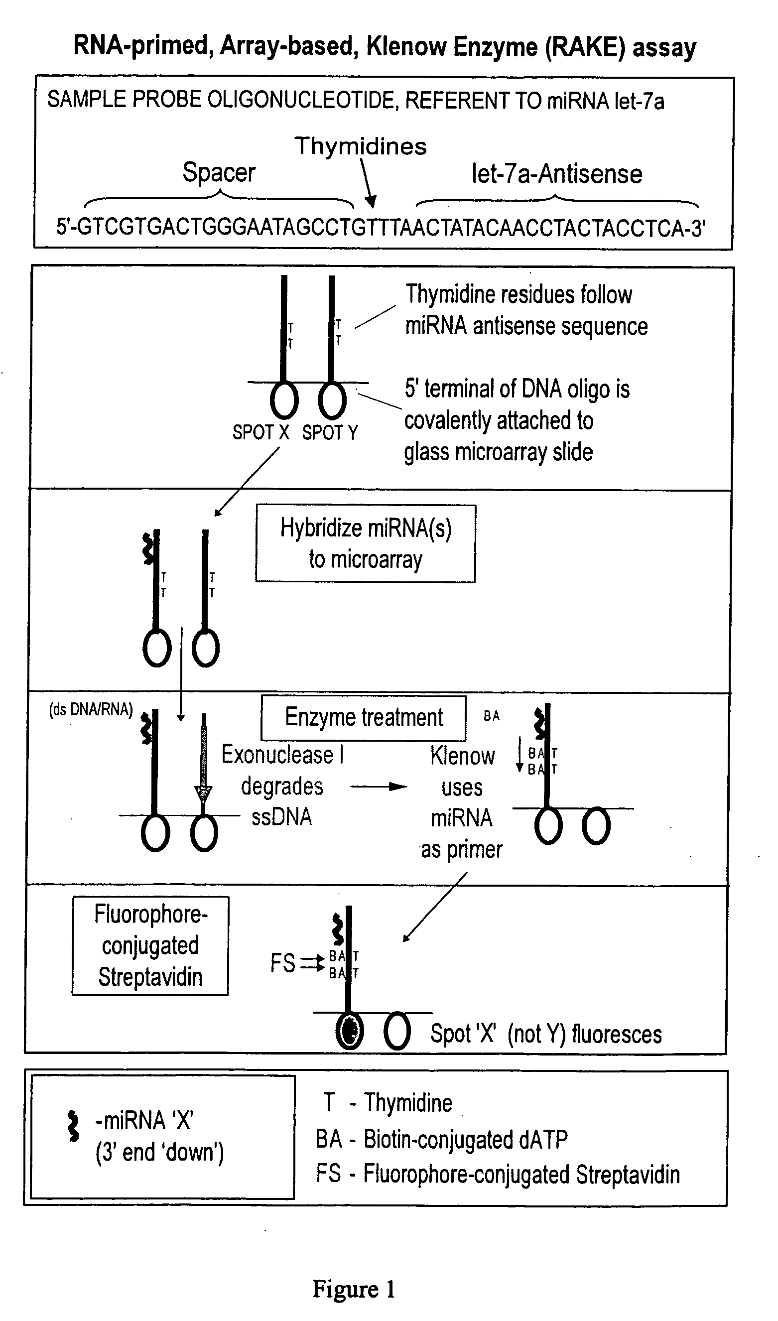 Microarray techniques for nucleic acid expression analyses