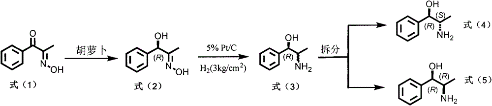 Method for preparing norephedrine and norpseudoephedrine