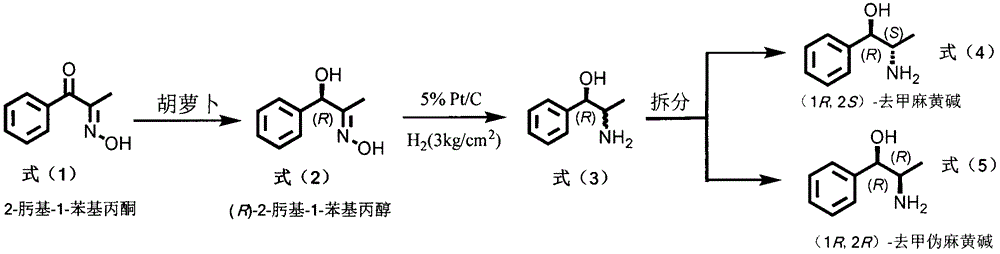 Method for preparing norephedrine and norpseudoephedrine