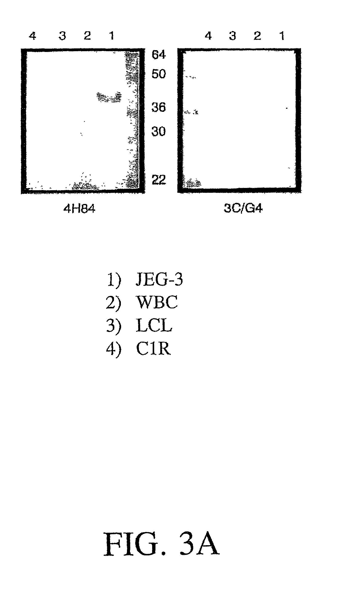 Detection of HLA-G