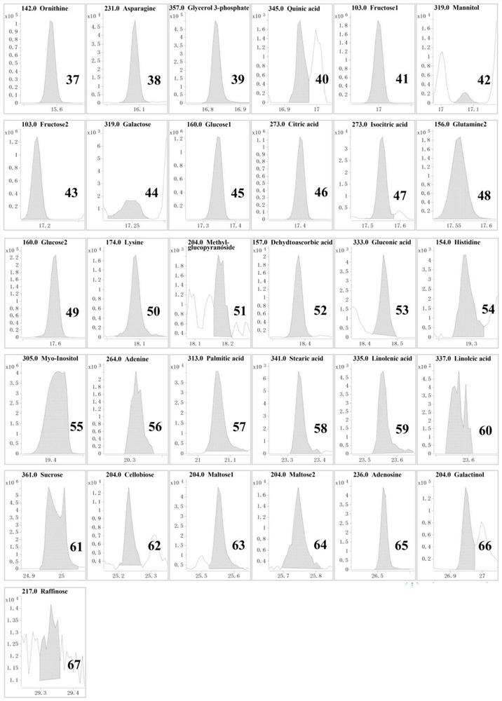 A high-throughput mass spectrometry method for the detection of primary metabolites in maize pollen