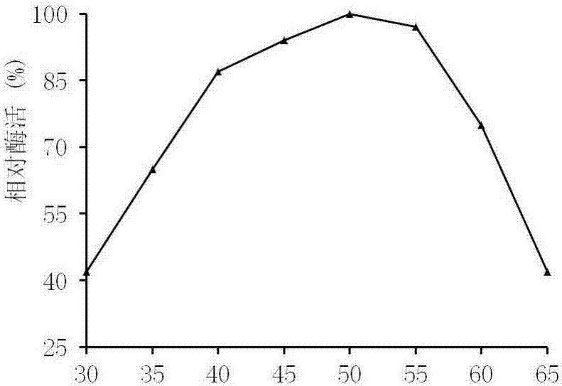 Aspergillus oryzae bacterial strain for producing feed compound enzyme with high yield and application of aspergillus oryzae bacterial strain