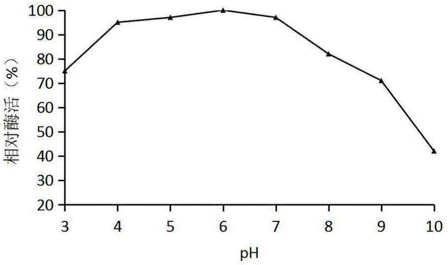 Aspergillus oryzae bacterial strain for producing feed compound enzyme with high yield and application of aspergillus oryzae bacterial strain