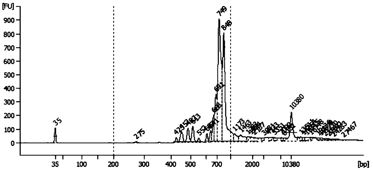 Method for constructing high-throughput sequencing library of immune repertoire