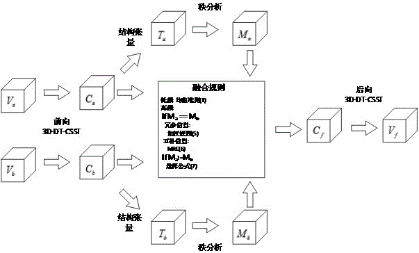 A Feature-Level Medical Image Fusion Method Based on 3D Shearlet Transform