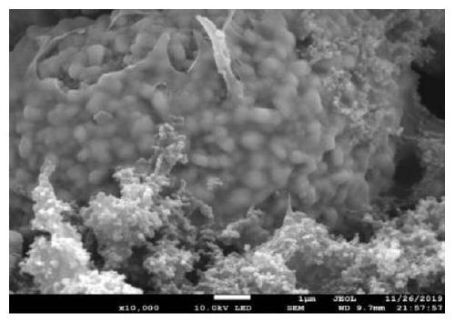 High-temperature-resistant adhesive for lithium ion battery and battery pole piece applying the adhesive