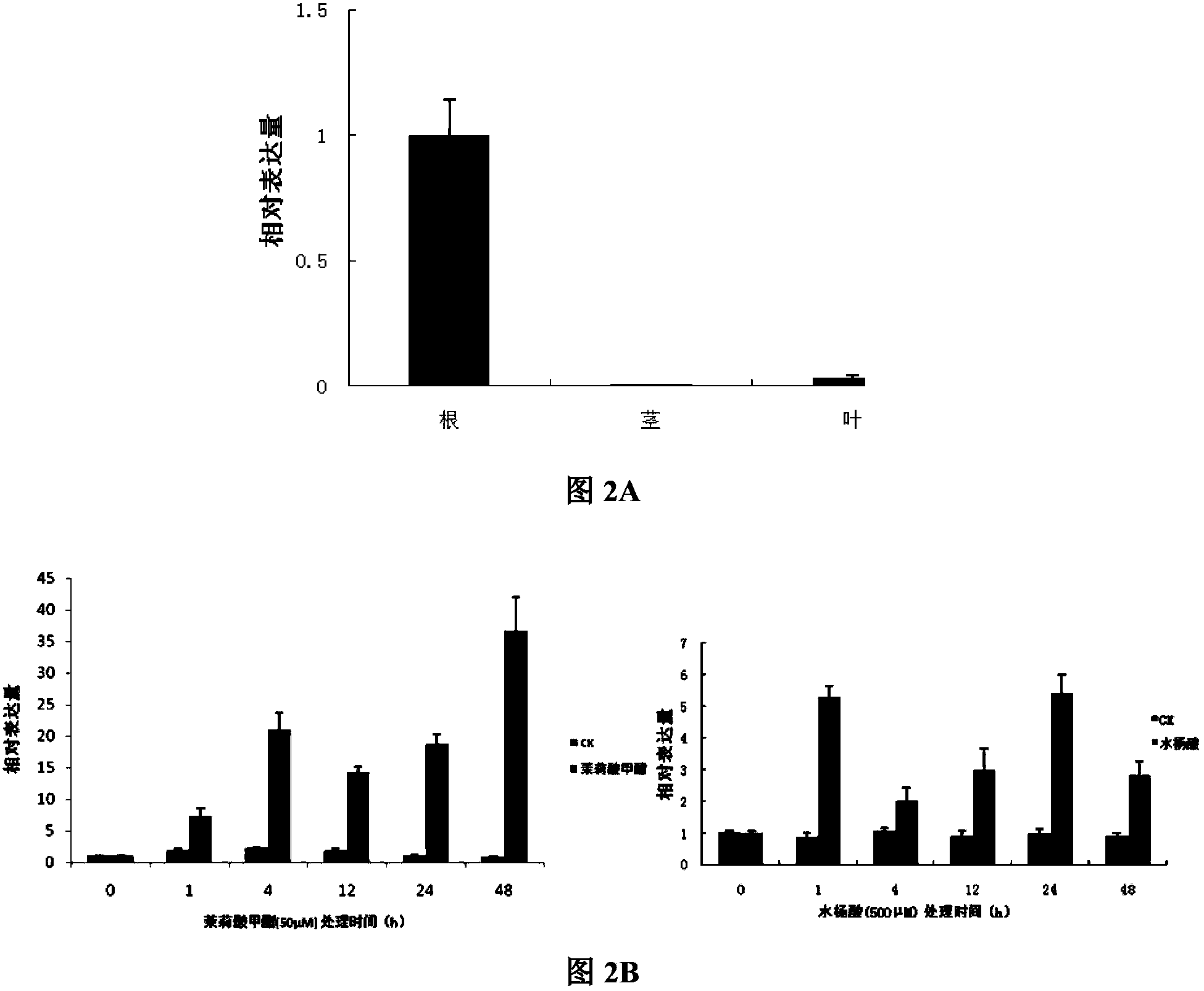 Cotton cytochrome P450 gene and application