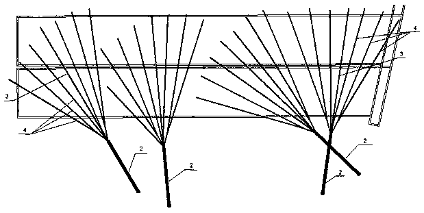 A double-layer, multi-branch drilling and grouting method for revitalizing double limestone aquifers on roof and floor