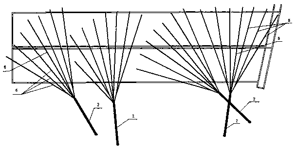 A double-layer, multi-branch drilling and grouting method for revitalizing double limestone aquifers on roof and floor