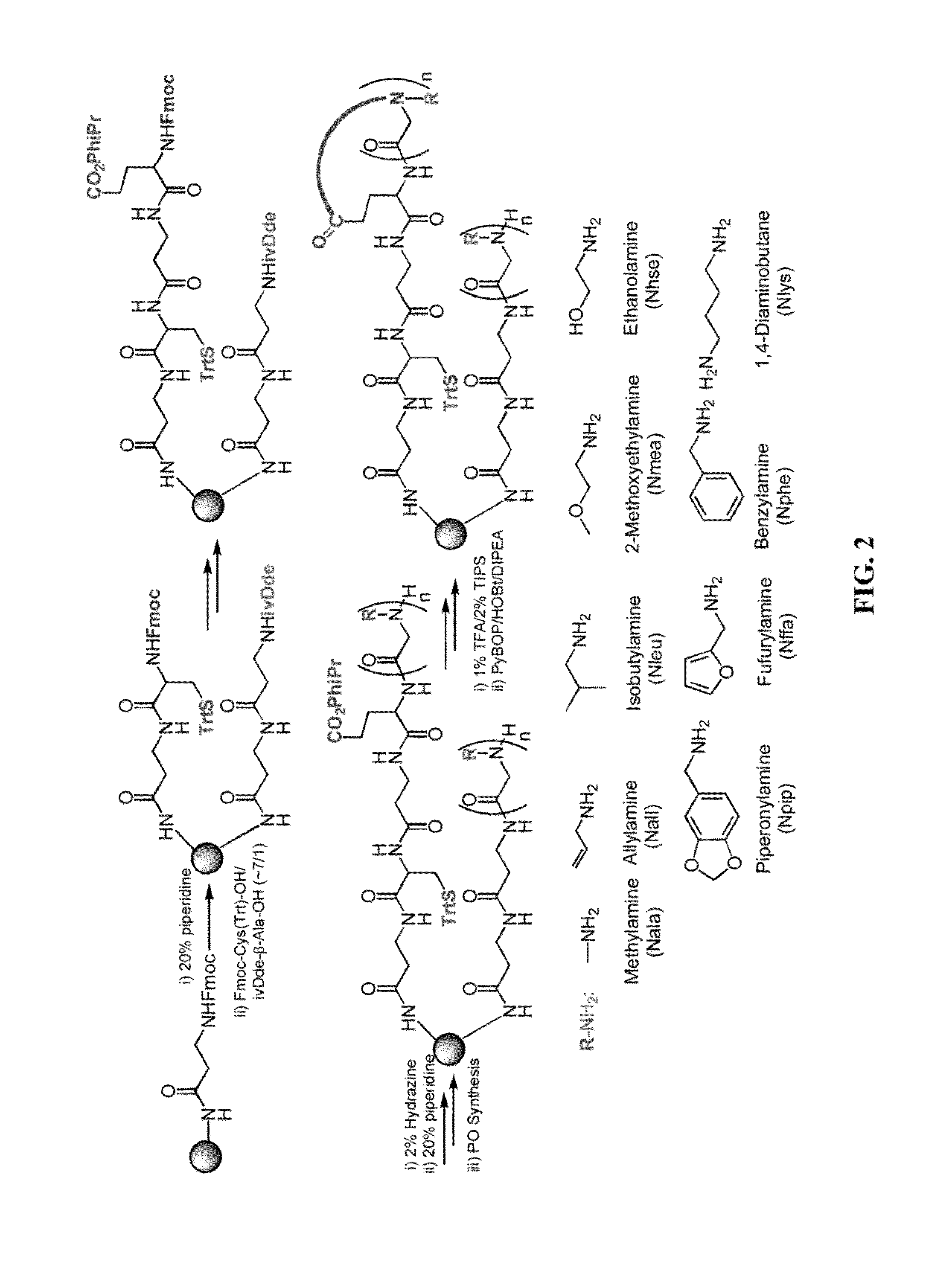 Antigen surrogates in autoimmune disease